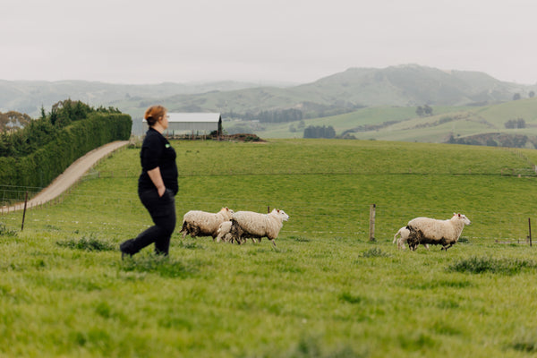 Going Good With Agresearch