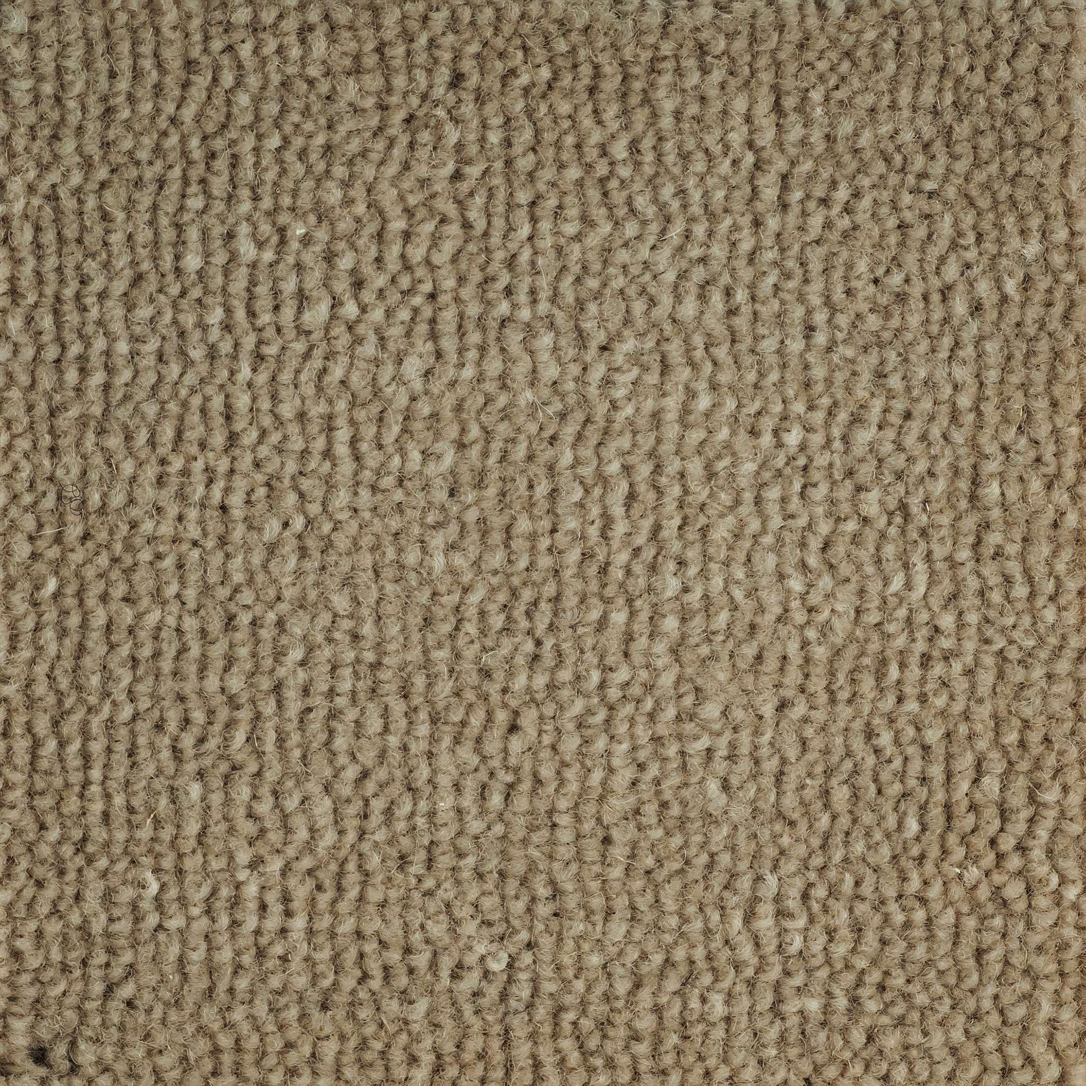 Ahuru Wool Carpet | Plush & Luxurious - Bremworth Wool Carpets NZ ...