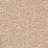 Castilla Large Samples