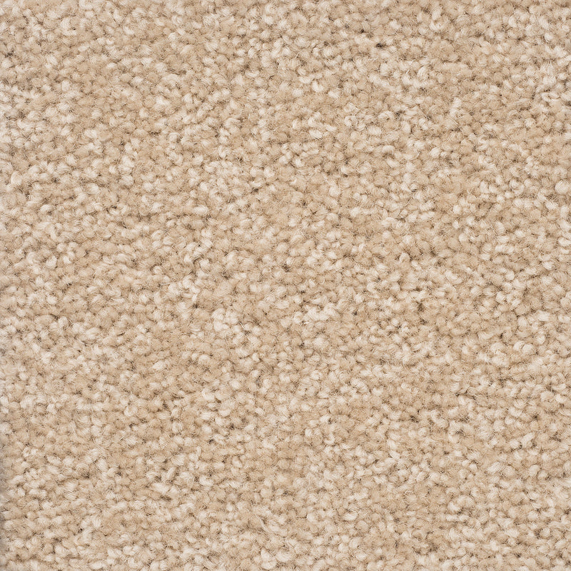 Castilla Large Samples