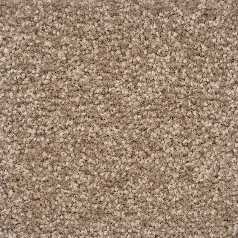 Castilla Large Samples