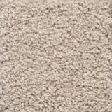 Charmeuse Large Samples