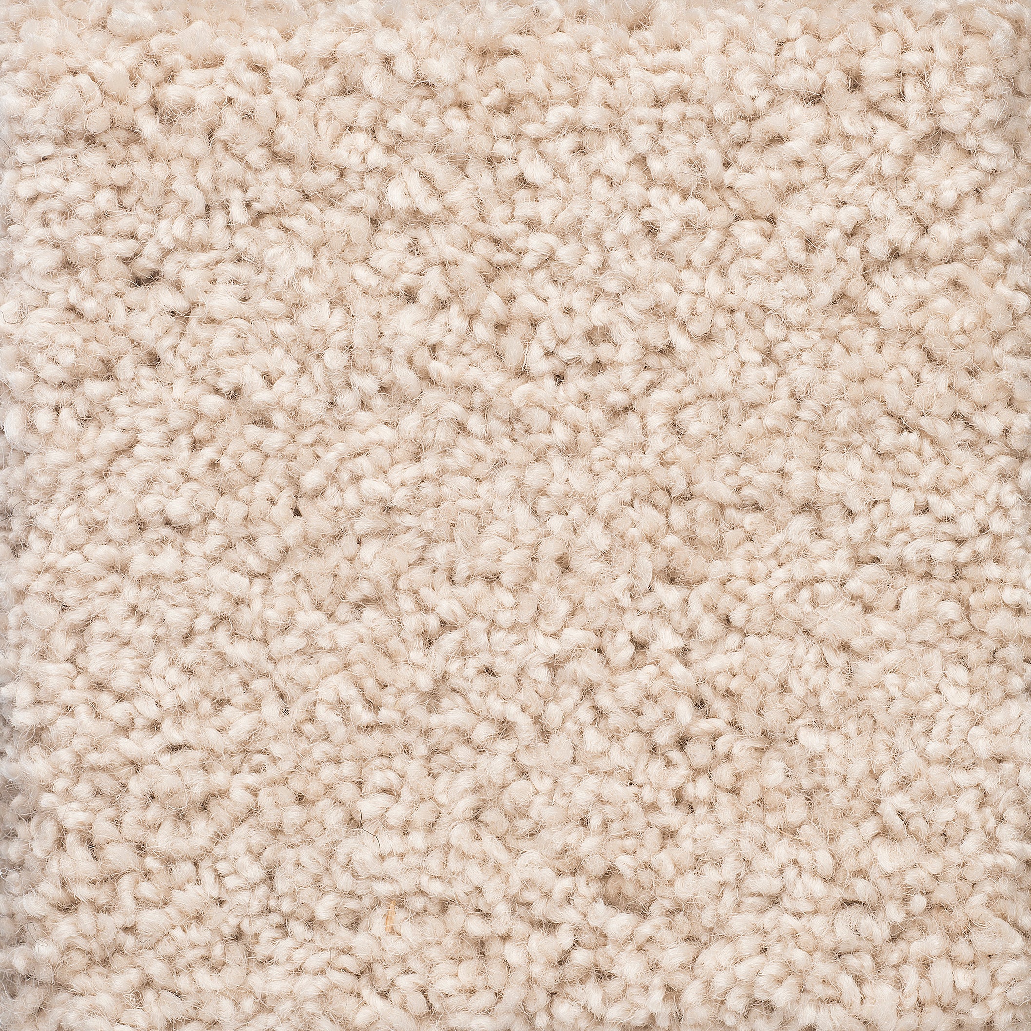 Charmeuse Wool Carpet – Bremworth NZ – Bremworth Wool Carpets New Zealand