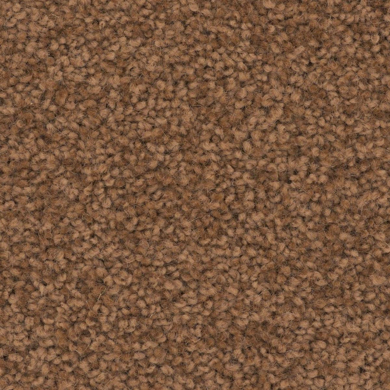 Charmeuse Large Samples