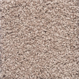 Charmeuse Large Samples