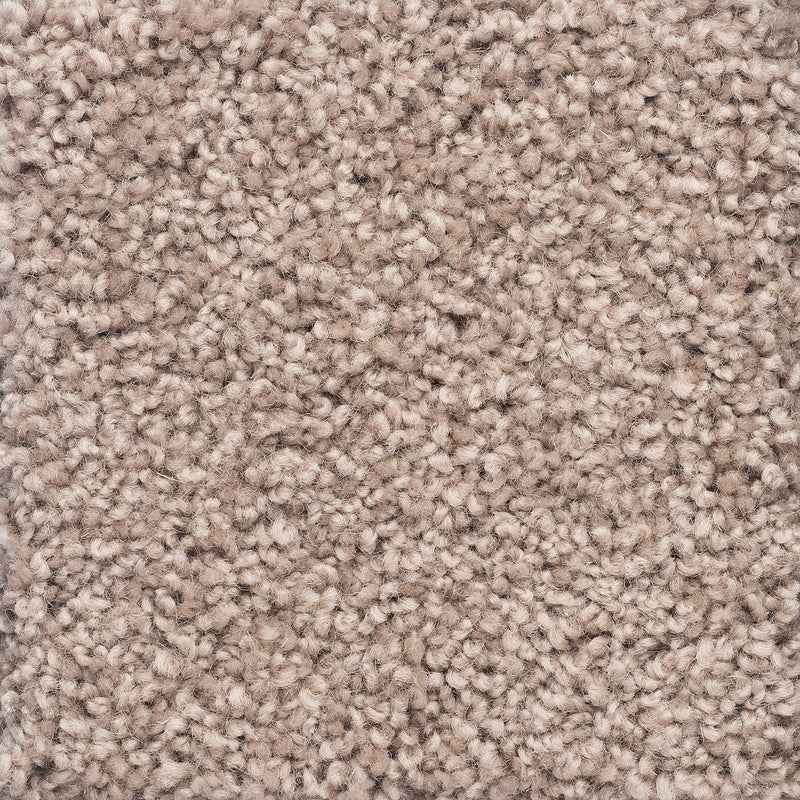 Charmeuse Large Samples