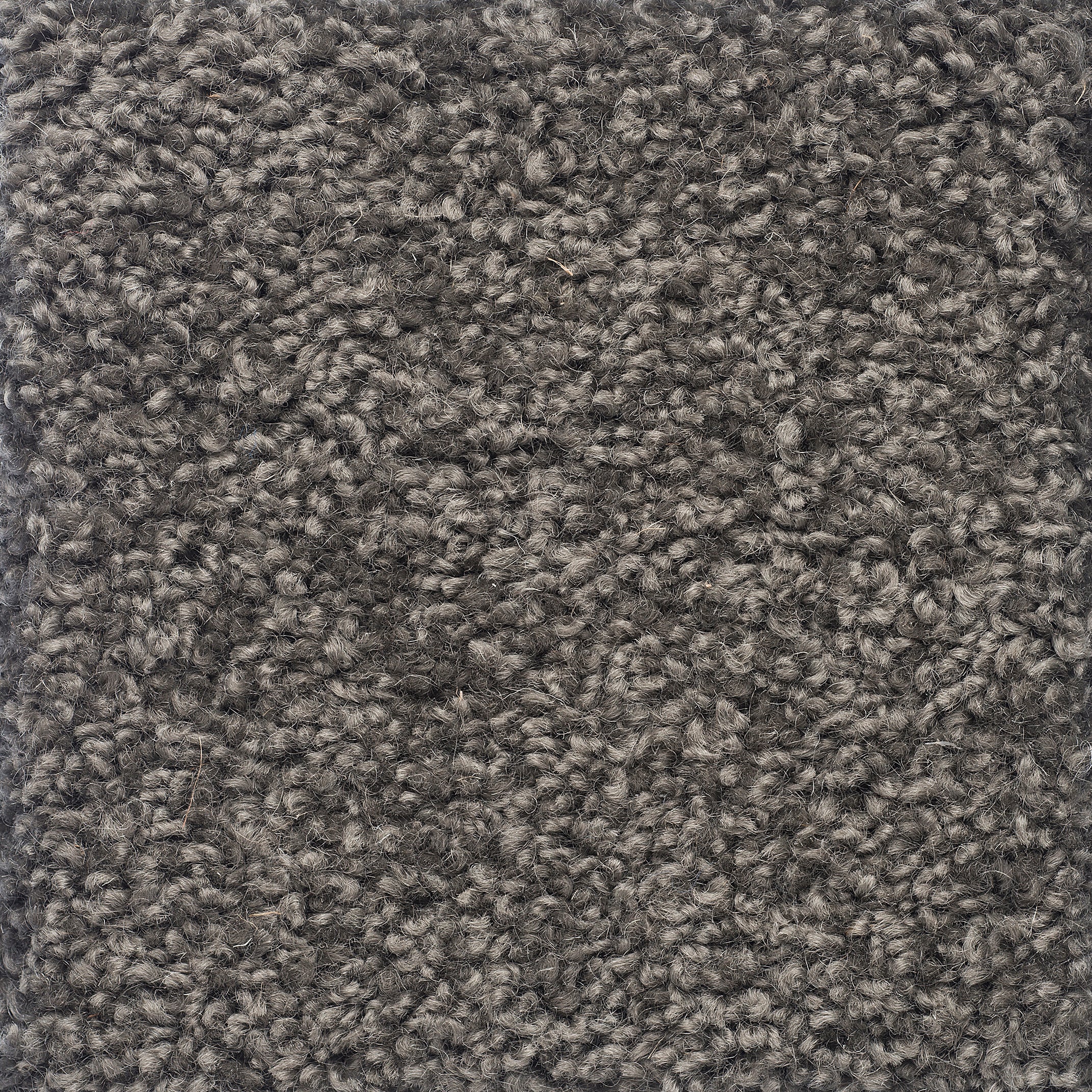 Charmeuse Wool Carpet – Bremworth NZ – Bremworth Wool Carpets New Zealand