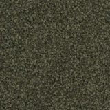 Charmeuse Large Samples