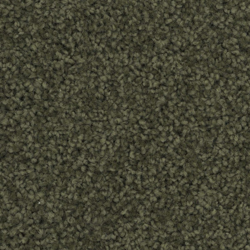 Charmeuse Large Samples