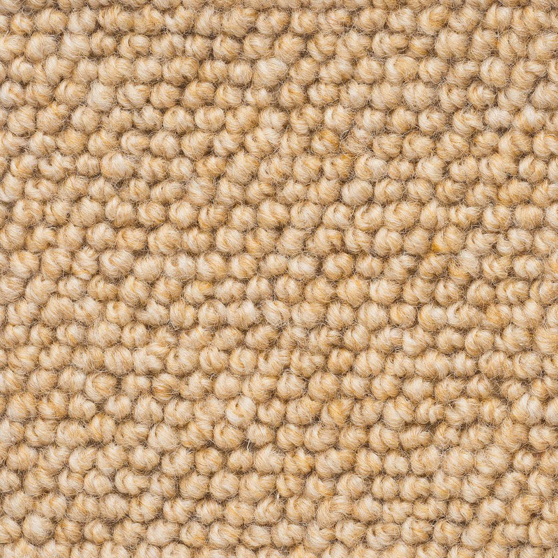 Levante Large Samples