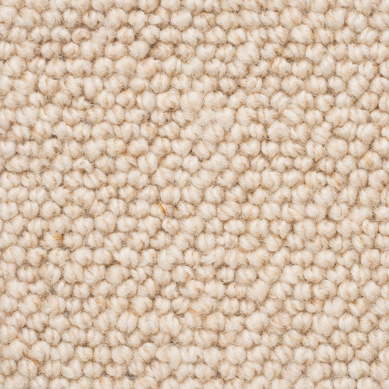 Levante Large Samples