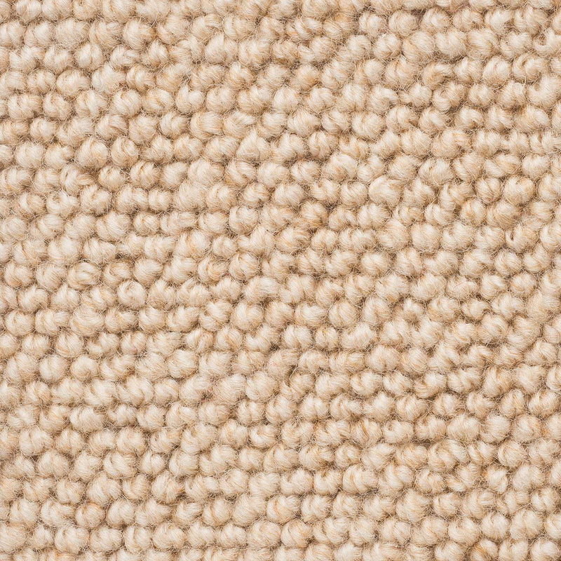 Levante Large Samples