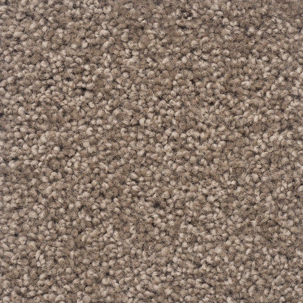 Moods of Monet II Large Samples