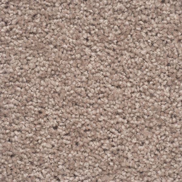 Moods of Monet II Large Samples