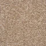 The Hamptons Large Samples