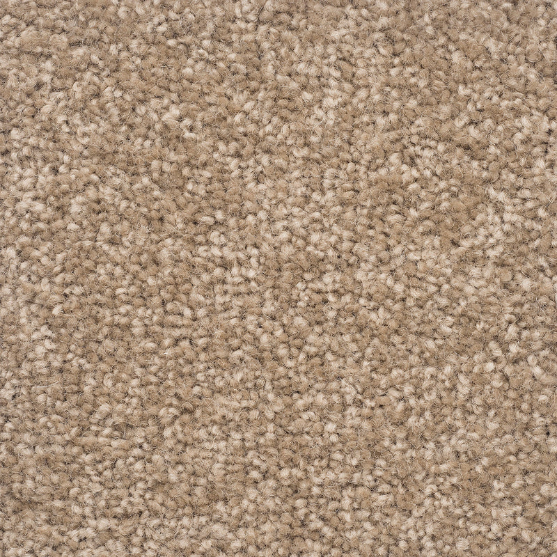 The Hamptons Large Samples