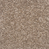 The Hamptons Large Samples