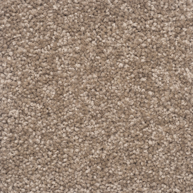 The Hamptons Large Samples