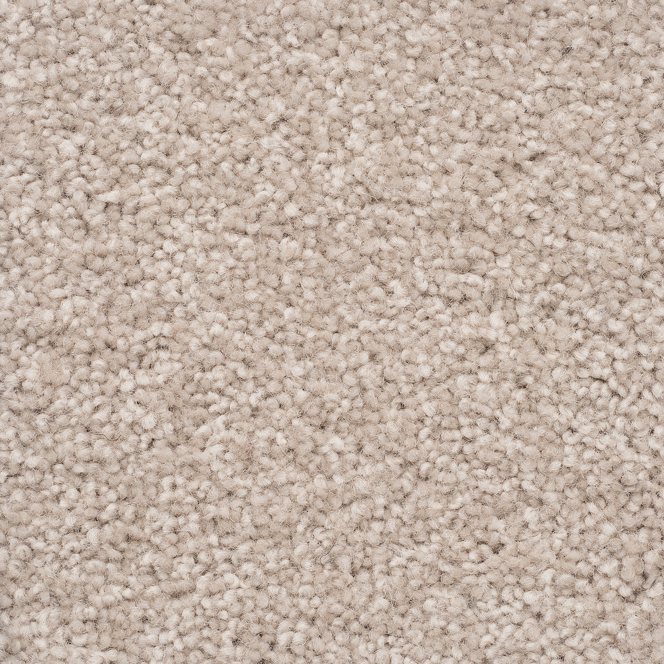 The Hamptons Wool Carpet - Cut Pile Carpet - Bremworth Wool Carpets New 