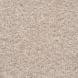 The Hamptons Large Samples