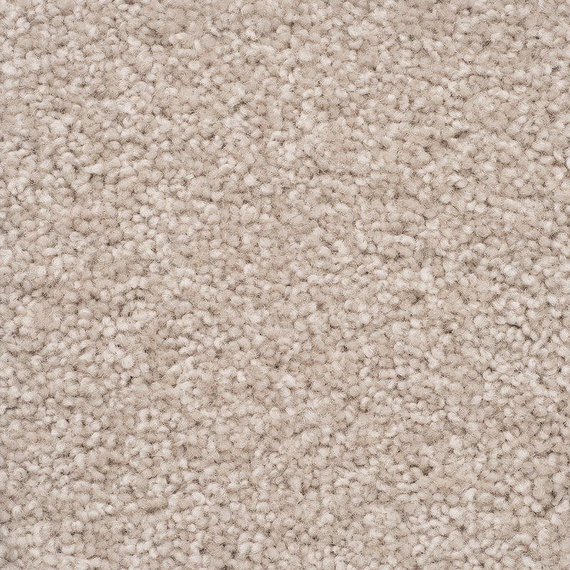 The Hamptons Large Samples