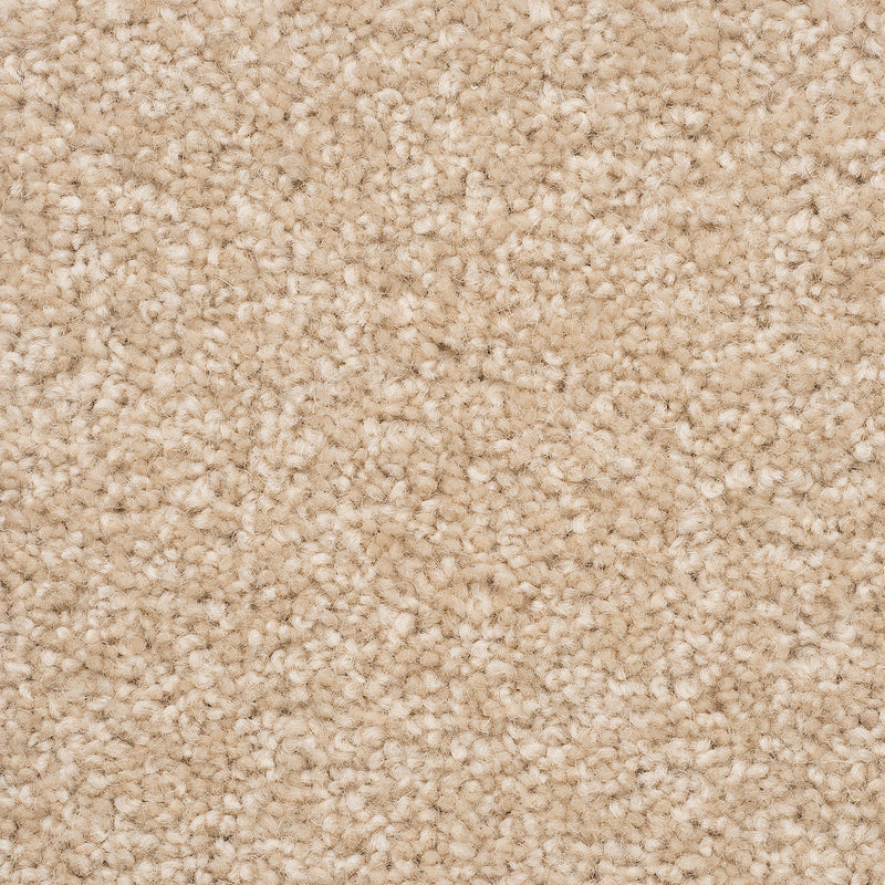 The Hamptons Large Samples