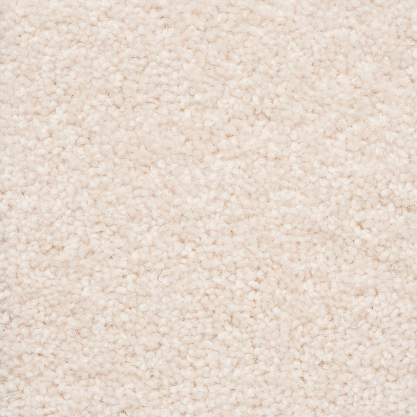 The Hamptons Large Samples