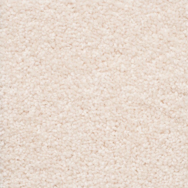 The Hamptons Large Samples