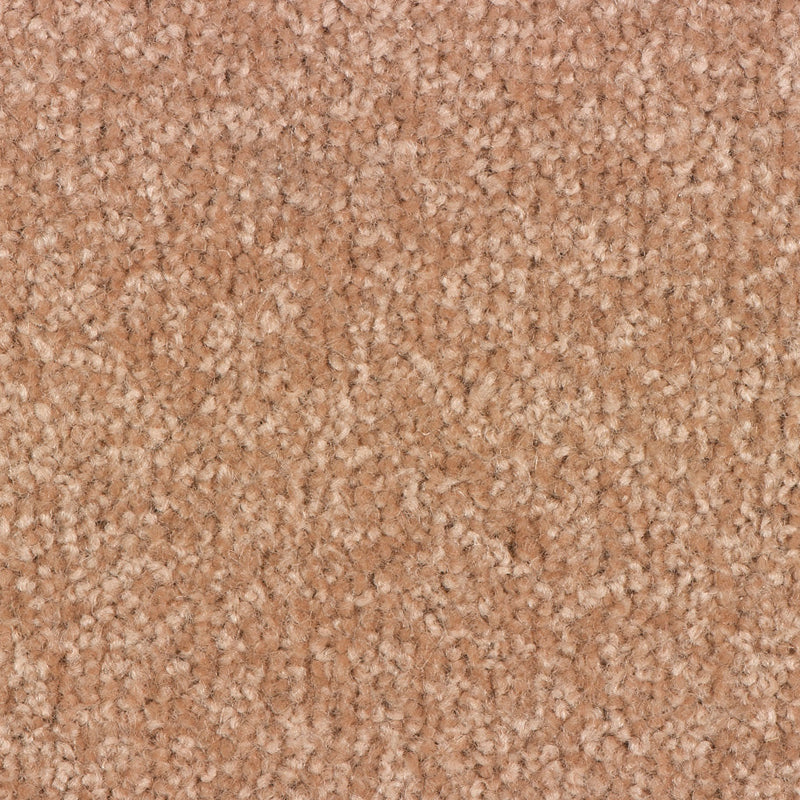 Trojan Twist Large Samples