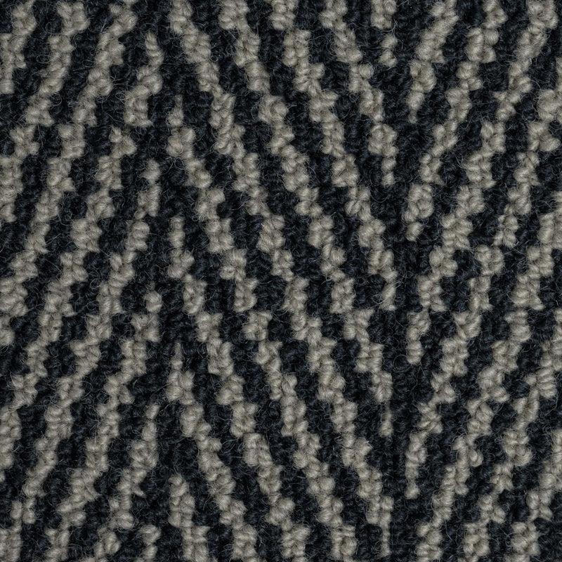 Clarence Large Samples