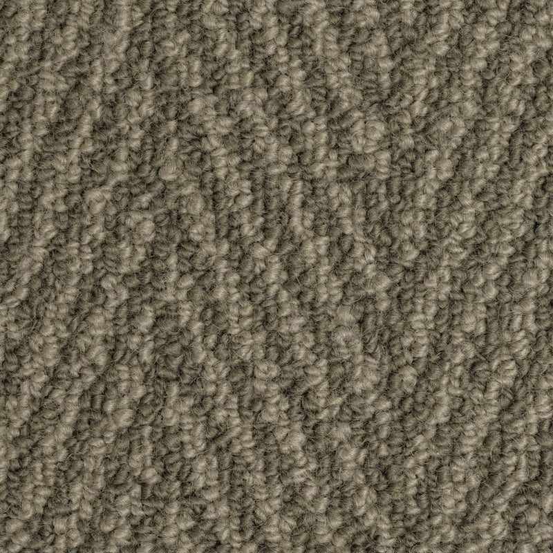 Clarence Large Samples